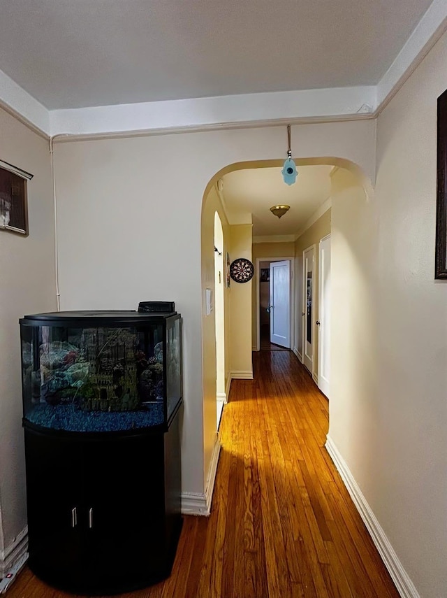 hall featuring wood-type flooring