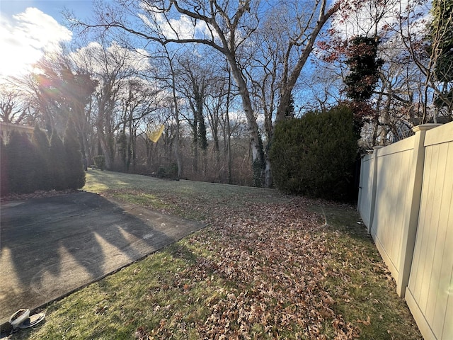 view of yard featuring a patio area