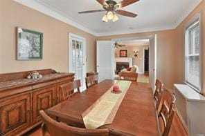 dining area featuring ceiling fan, a fireplace, a wealth of natural light, and ornamental molding