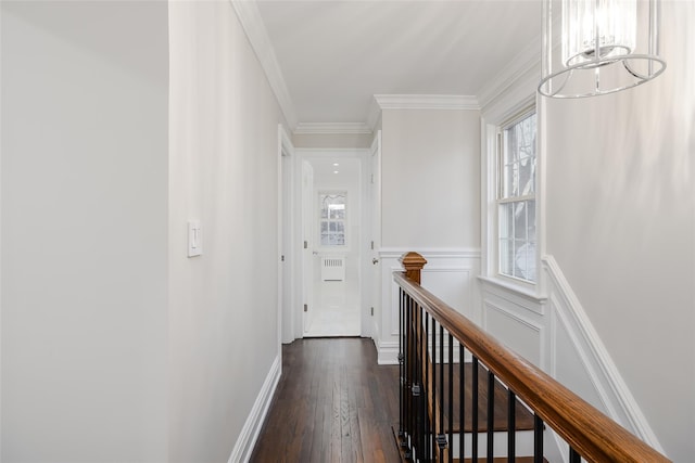 corridor featuring ornamental molding and dark hardwood / wood-style flooring