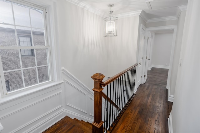 stairs with crown molding and wood-type flooring