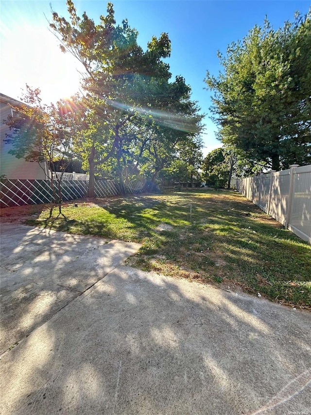 view of yard featuring a patio