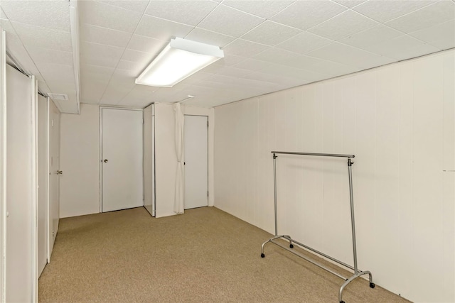 basement with light carpet