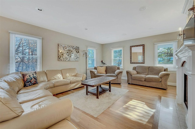 living room featuring light hardwood / wood-style flooring