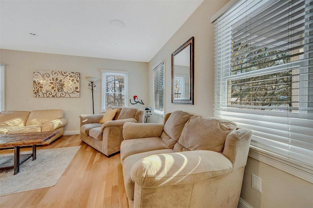 living room with light hardwood / wood-style floors