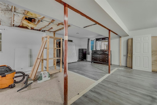 basement with hardwood / wood-style floors