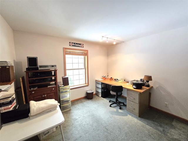 office with rail lighting and carpet floors