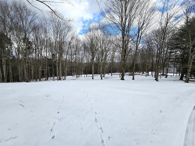 view of yard layered in snow