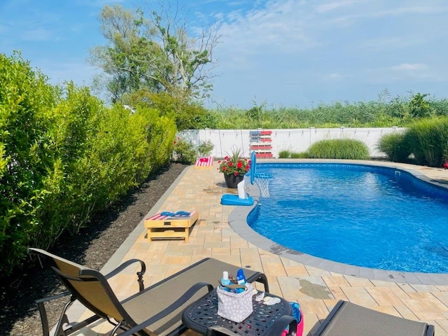 view of swimming pool featuring a patio area