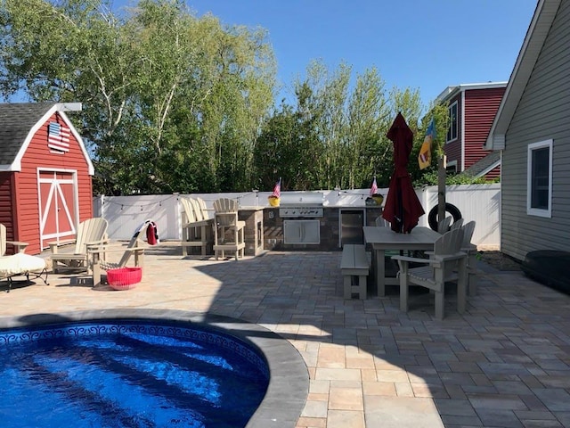 view of patio / terrace featuring exterior kitchen and a storage unit