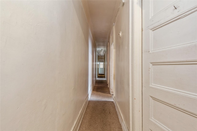 hallway featuring carpet flooring