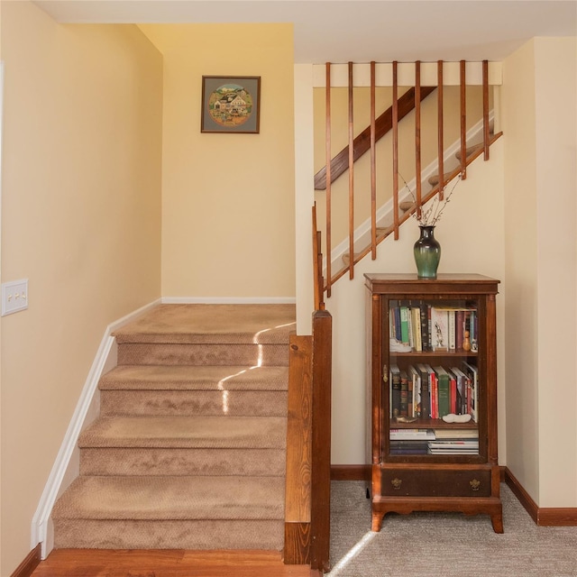 stairway with carpet