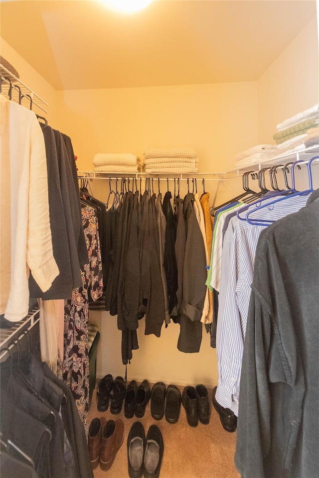 spacious closet featuring carpet