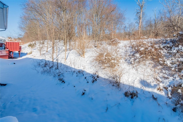 view of yard covered in snow