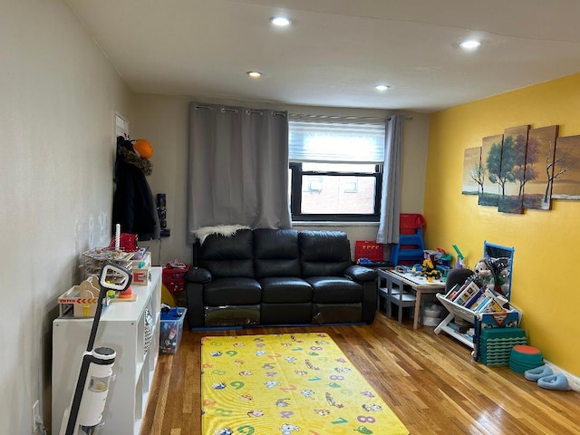 living room featuring wood-type flooring