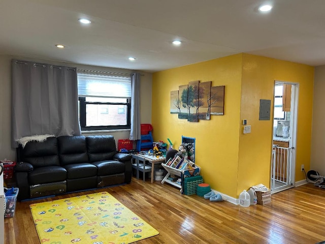 living room with wood-type flooring