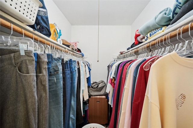 view of walk in closet