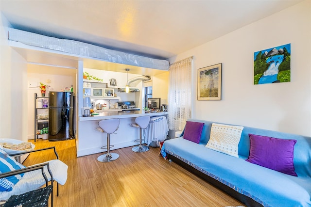 living room with light wood-type flooring