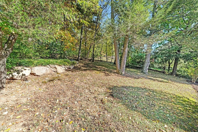 view of yard featuring a forest view