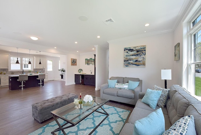 living room featuring sink, dark hardwood / wood-style flooring, and ornamental molding