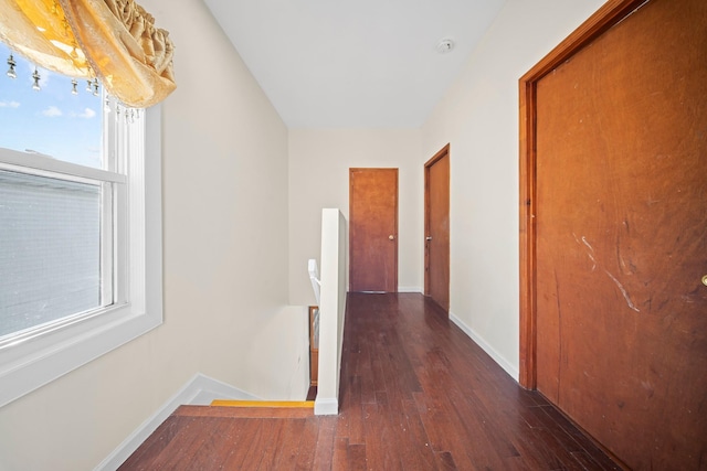 hall with dark hardwood / wood-style flooring