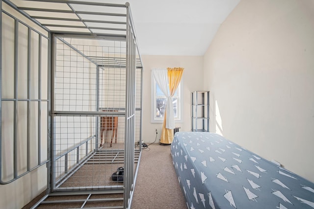 bedroom featuring dark colored carpet