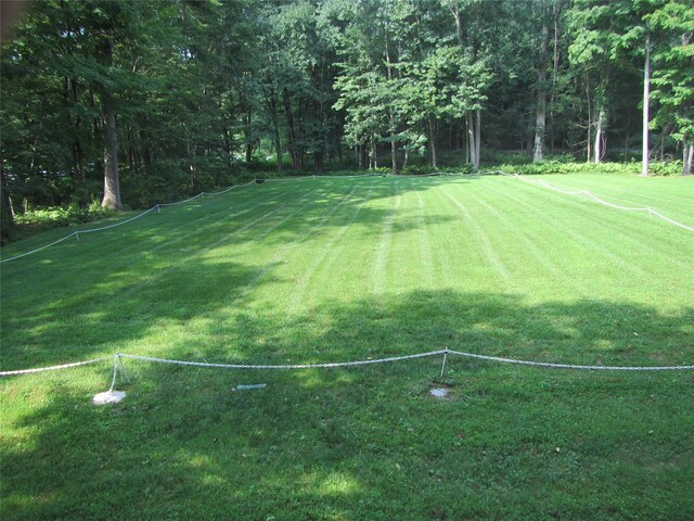 132 Finch Rd, North Salem, NY 10560 - photo 42