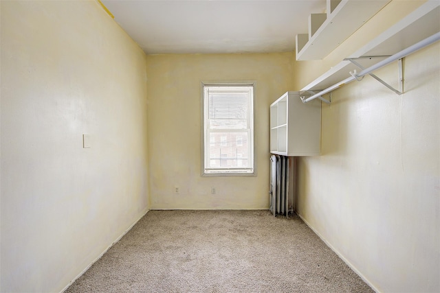 walk in closet with carpet flooring