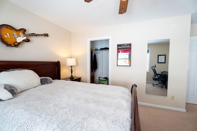 bedroom featuring a walk in closet, ceiling fan, baseboards, carpet floors, and a closet