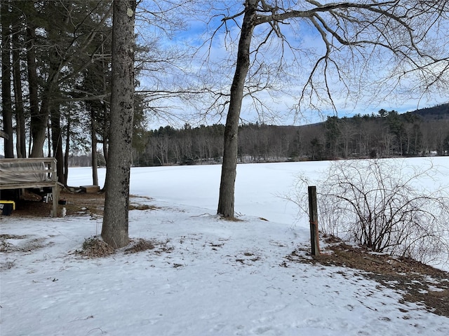 view of snowy yard