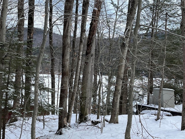 view of snowy landscape