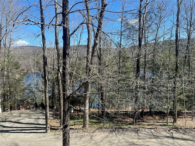 105 Mcnamee Rd, Canaan, NY 12029 - view of tree filled area