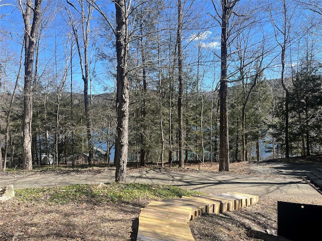 105 Mcnamee Rd, Canaan, NY 12029 - view of yard featuring a wooded view
