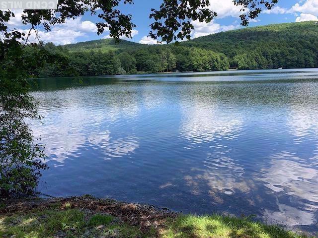 105 Mcnamee Rd, Canaan, NY 12029 - water view featuring a heavily wooded area