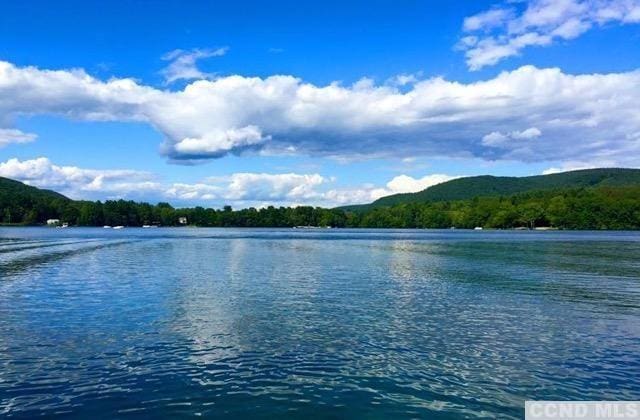 105 Mcnamee Rd, Canaan, NY 12029 - water view featuring a forest