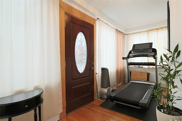 exercise area with a healthy amount of sunlight and light hardwood / wood-style floors