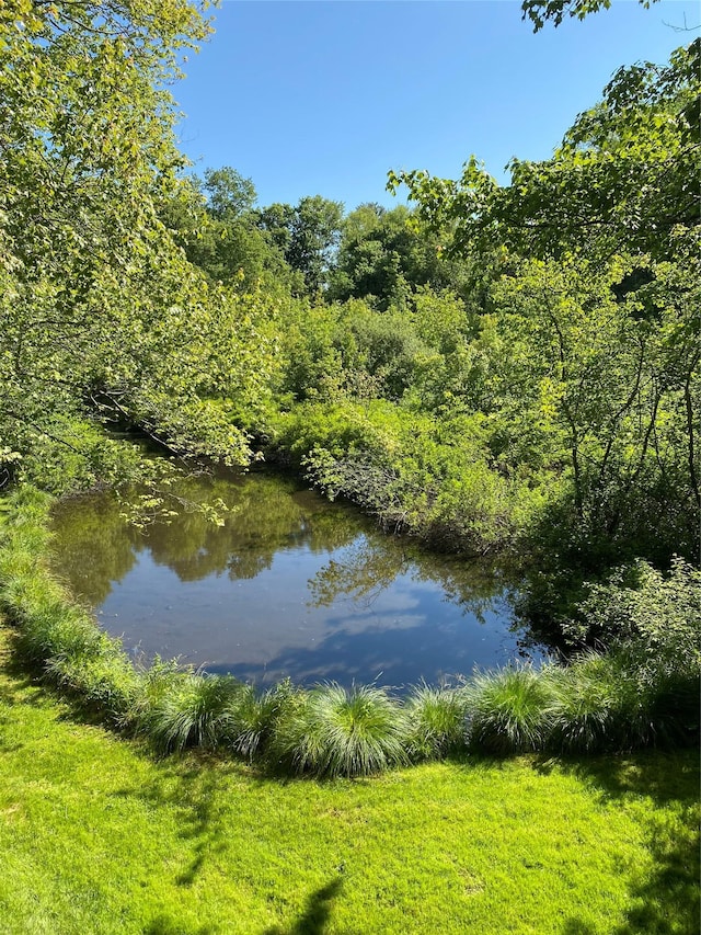 view of water feature