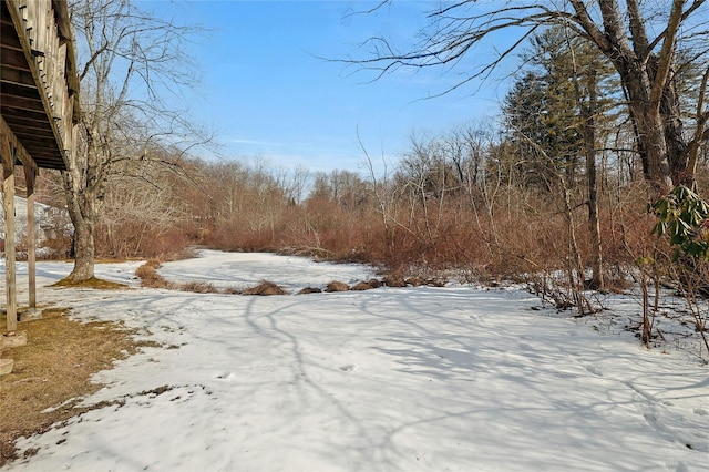 view of yard layered in snow