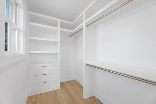 walk in closet featuring light hardwood / wood-style floors