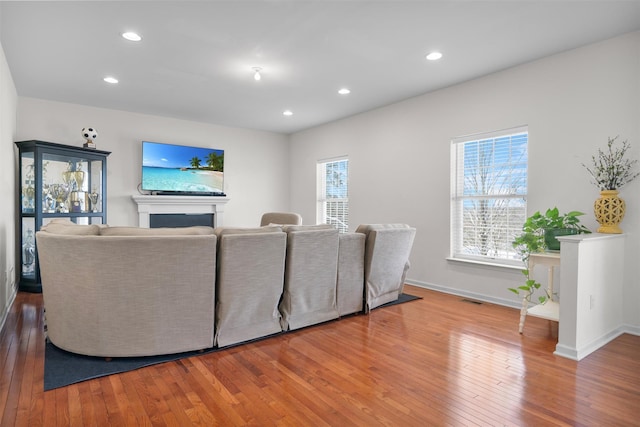 living room with hardwood / wood-style flooring