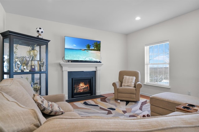 living room with wood-type flooring