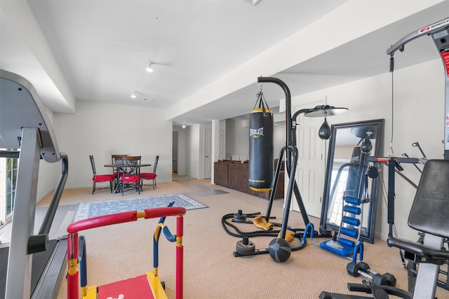 exercise area featuring light carpet