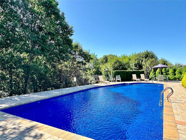 view of pool featuring a patio area