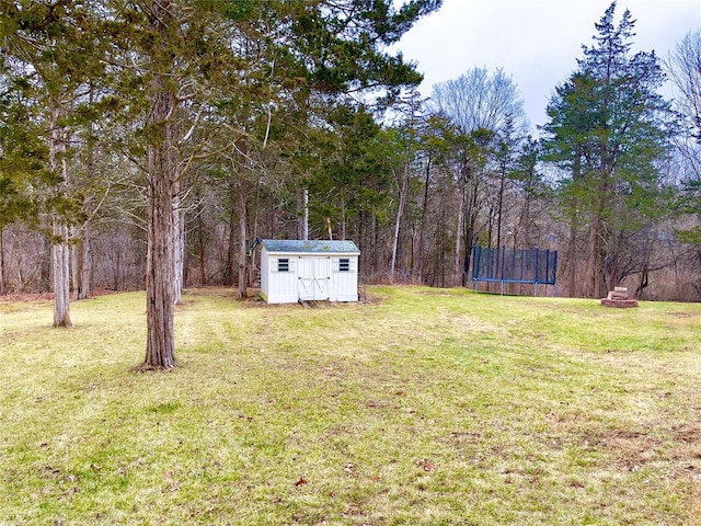 view of yard with a trampoline and a storage unit