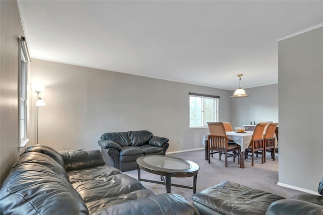 carpeted living room featuring crown molding