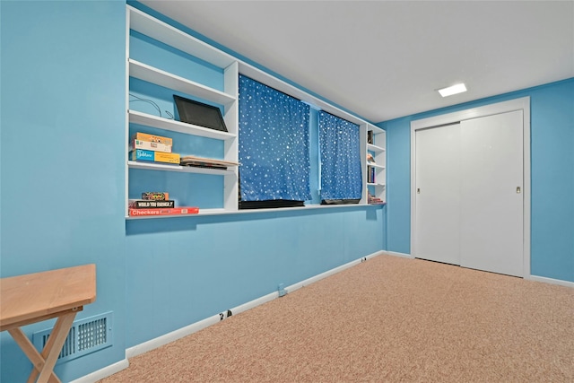 interior space with a closet and carpet