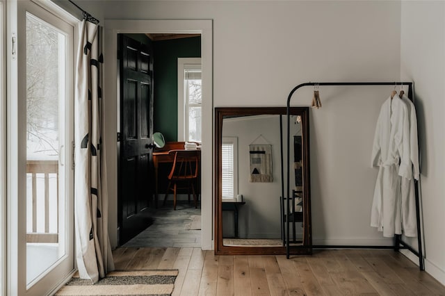 entryway featuring plenty of natural light and light hardwood / wood-style flooring