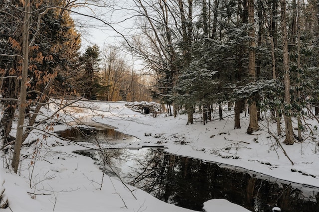 view of snowy landscape