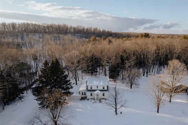 view of snowy aerial view