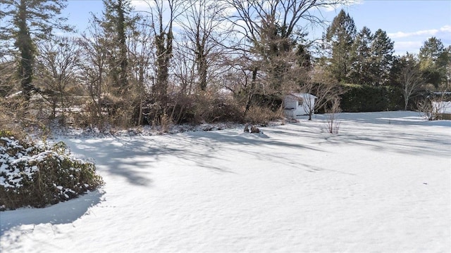 view of snowy yard